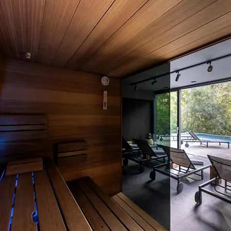 شاليه Paznauner - I *