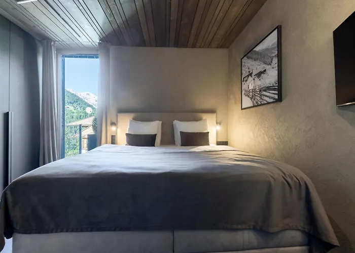 Paznauner - I Dağ evi *